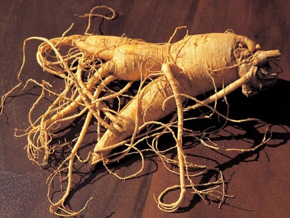 GINSENG GOLL