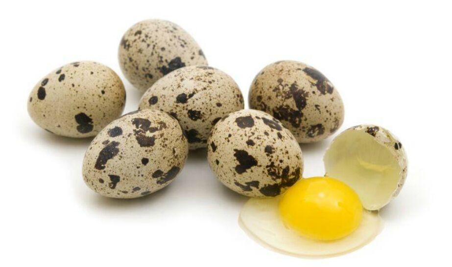 Mga itlog sa pugo alang sa kaarang